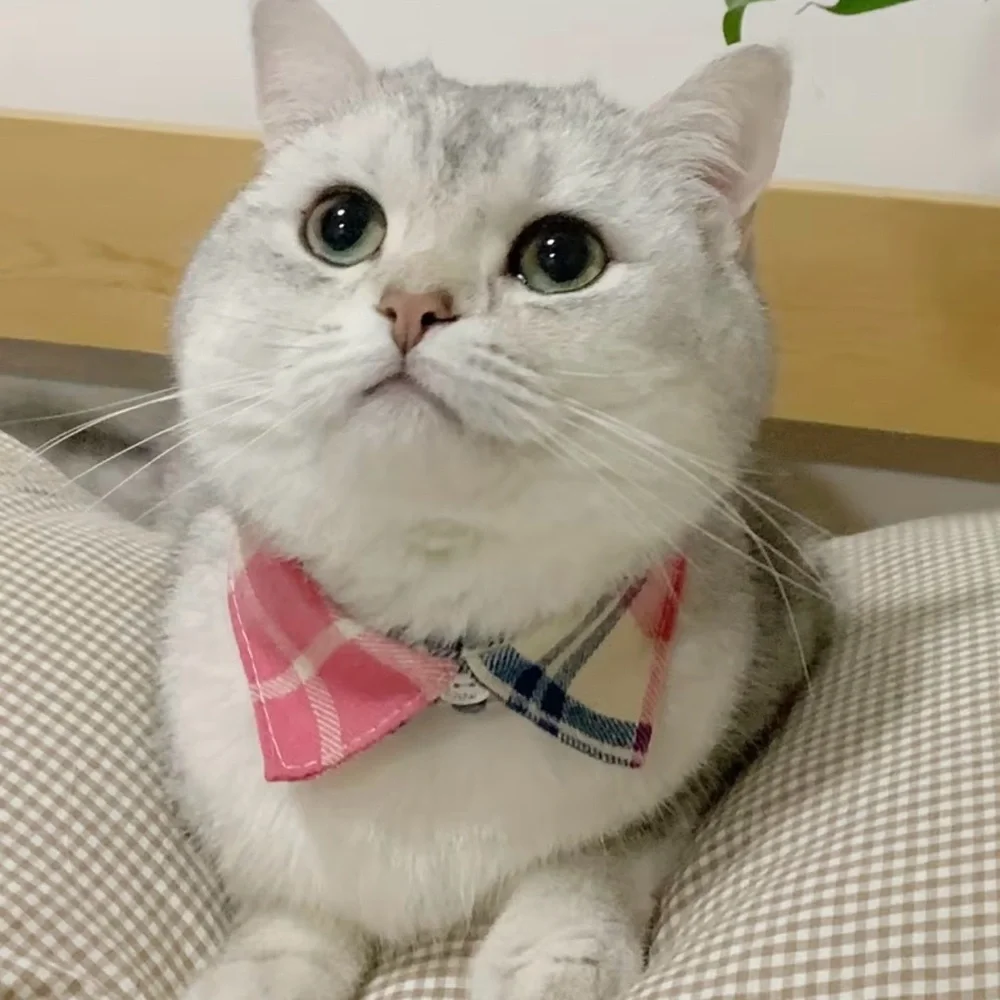 Pink Plaid Pet Cat Collar with Bell